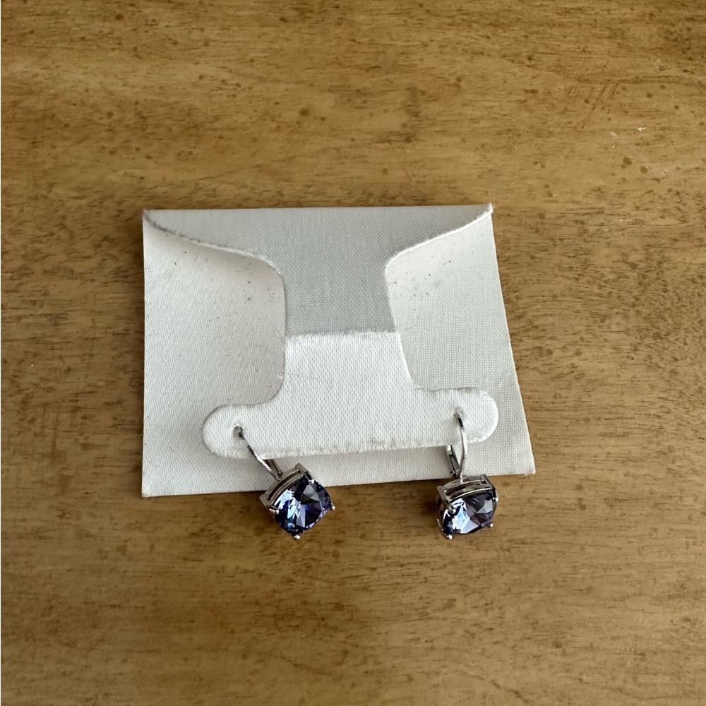 NEW Blue Stone Earrings